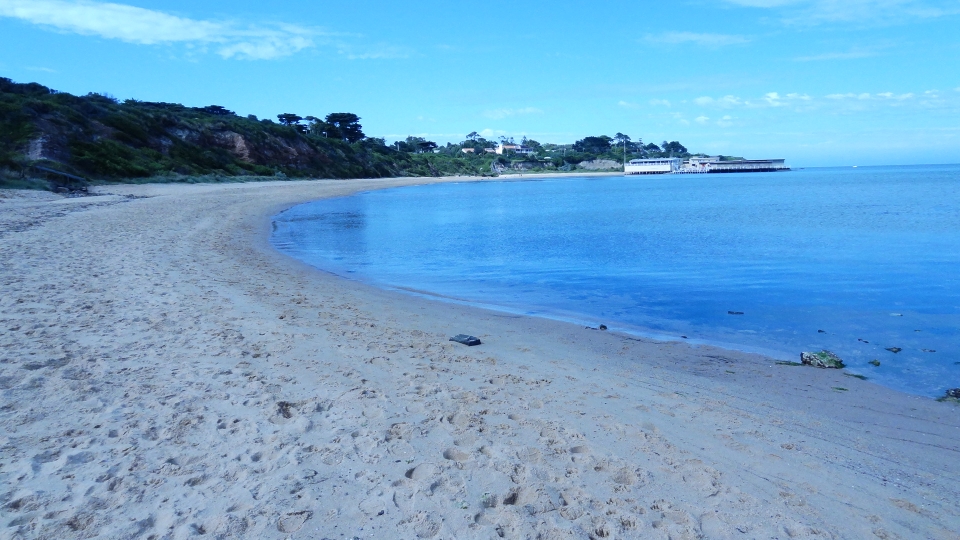 Back To Nature Mt Eliza Coast Frankston VIC