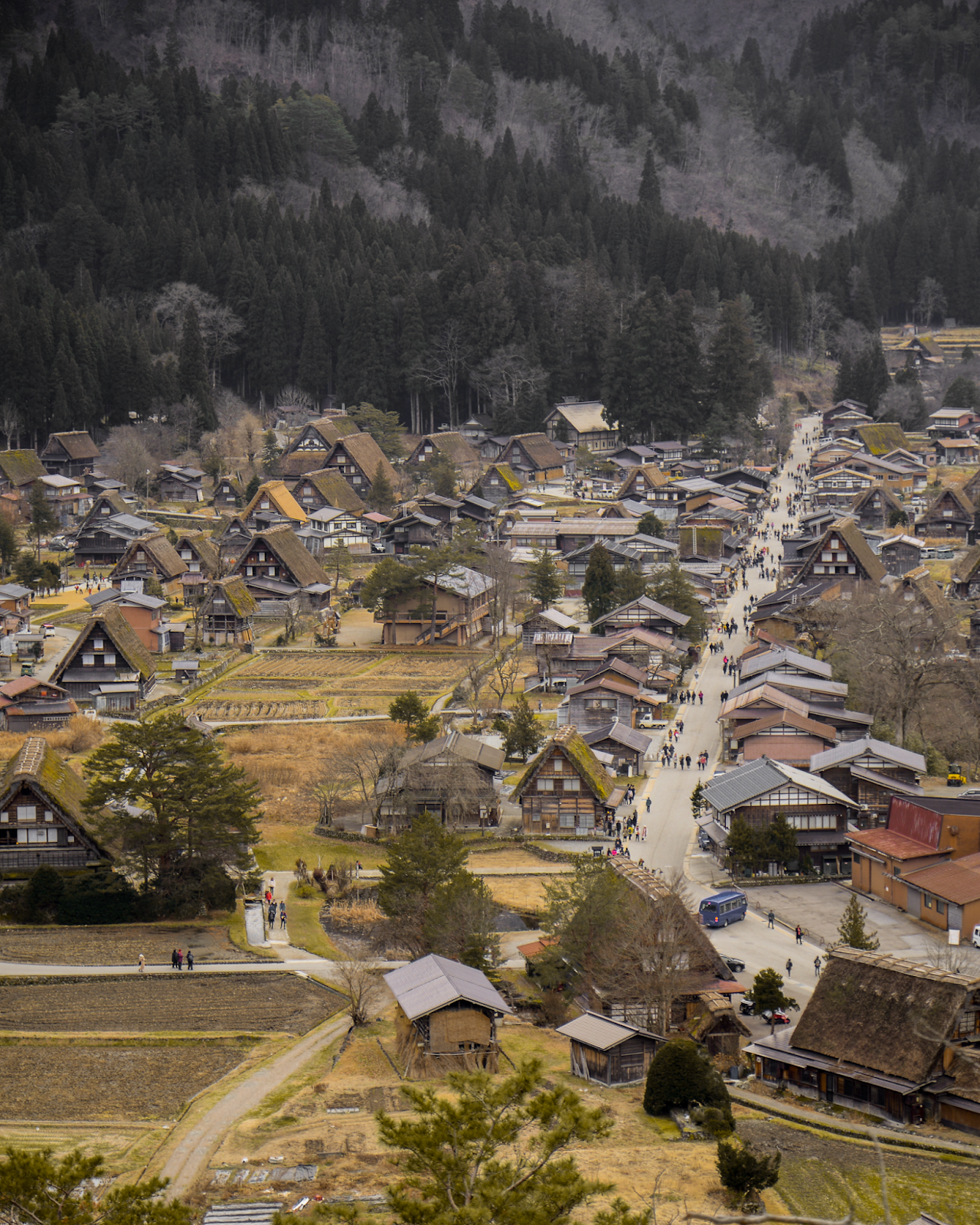 Shirakawago, UNESCO site in Japan, Kanazawa trip from Tokyo, must-visit cities in Japan, photogenic and charming towns in Japan - FOREVERVANNY