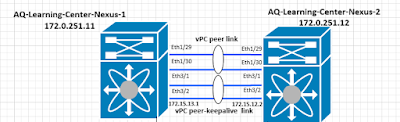 vpc peer-link diagram example 