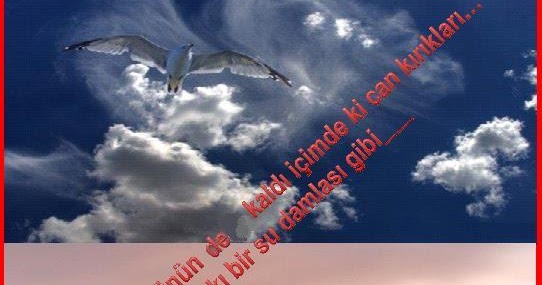 Ömer Sabri KURŞUN Bir Pazar gününün de kaldı içimde ki can kırıkları…