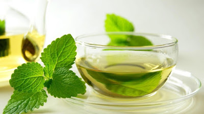 Minuman Mint Obat Mual