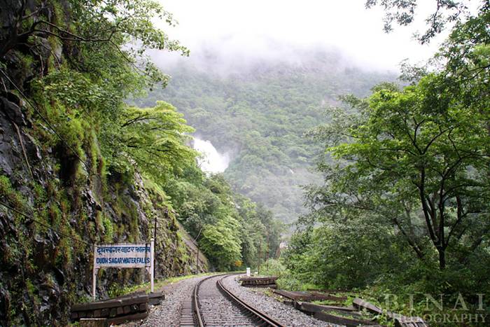 Amazing railroad track located near Dudhsagar Falls, India. One of the most beautiful views you will ever see while travelling with a train.
