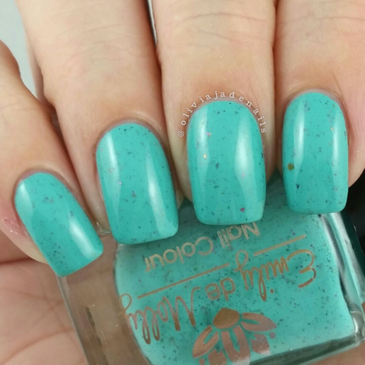 Emily de Molly LE31 swatched by Olivia Jade Nails