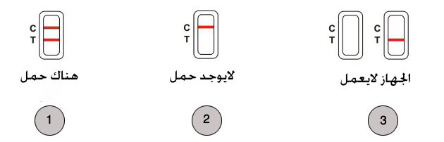 قراءة نتيجة اختبار الحمل قراءة نتيجة اختبار الحمل