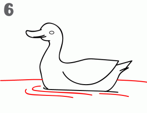 howtodrawaduck-300x231.gif