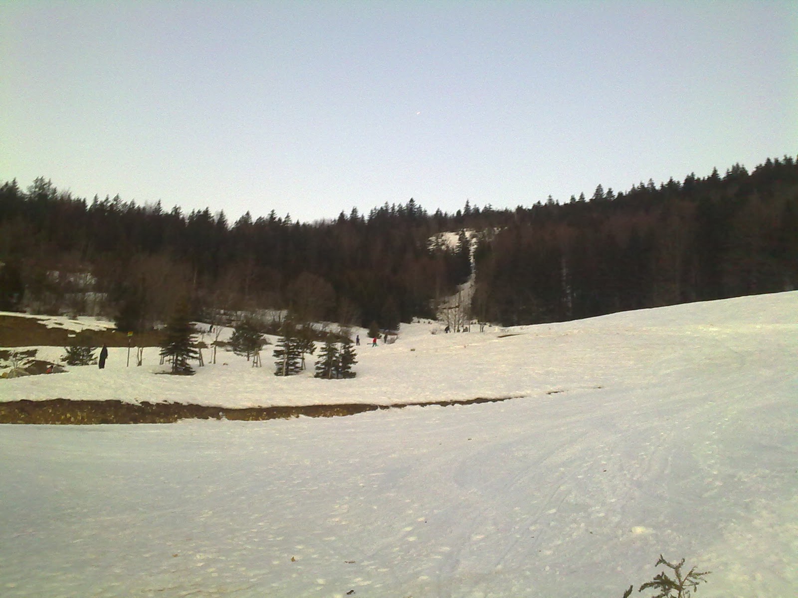 mes 3 loulous Photos Villard de Lans