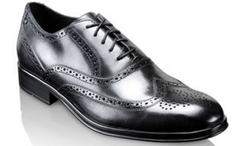rockport brogue shoes