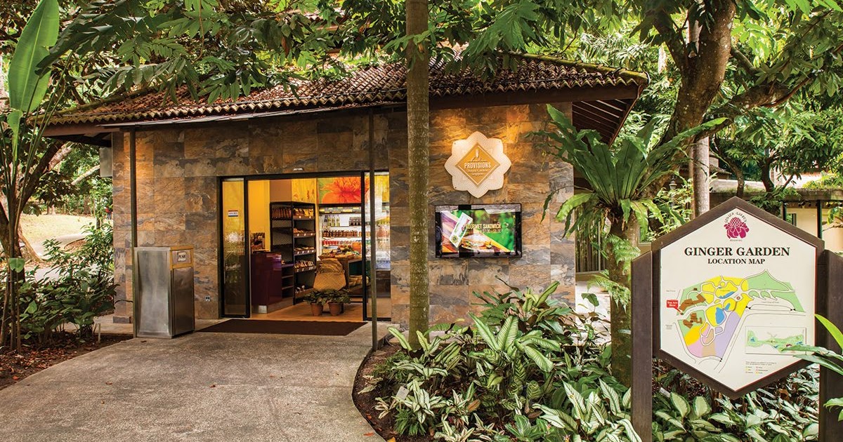 wh5 Ginger at the Singapore Botanical Garden