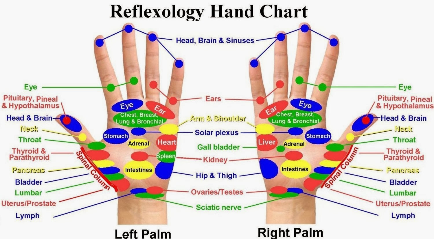 why do massages feel good why do massages feel good