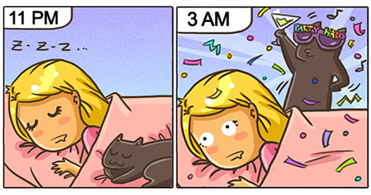 15+ Comics That Purrfectly Capture Life With Cats 15+ Comics That Purrfectly Capture Life With Cats