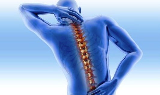 Tips Mencegah Penyakit Osteoporosis Tips Mencegah Penyakit Osteoporosis