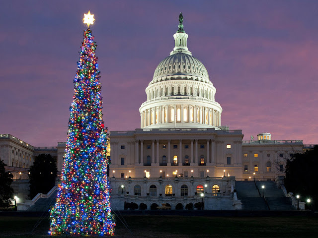Ver as árvores de natal da Casa Branca e Capitólio Ver as árvores de natal da Casa Branca e Capitólio