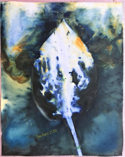 Wet cyanotype_Sue Reno_Image 365