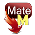 تحميل برنامج تيوب ميت 2017 TubeMate Youtube Downloader