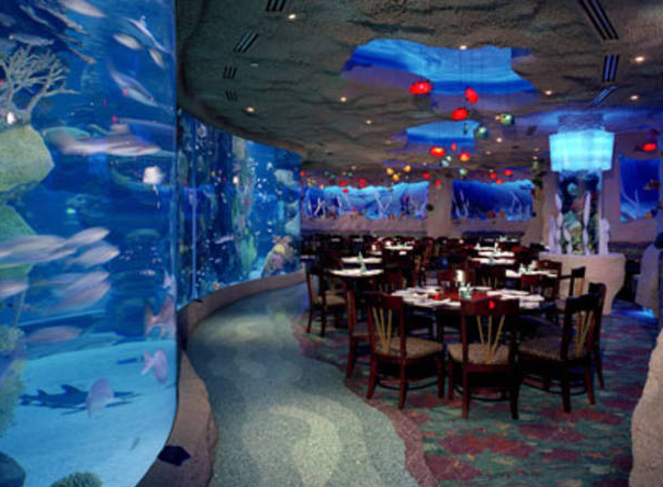 Wedding Reception Venues Denver Co downtown aquarium denver Wedding Reception Venues Denver Co downtown aquarium denver