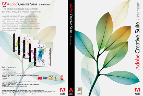 SAMS TEACH YOURSELF CREATIVE SUITE 2 ALL IN ONE by MORDY GOLDING: Muy Bueno  / Very Good (2005) | Iridium_Books