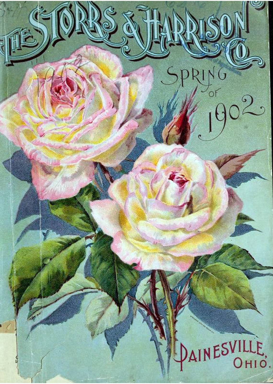Vintage Antique Roses Posters_(61 item) Blisse Design Studio