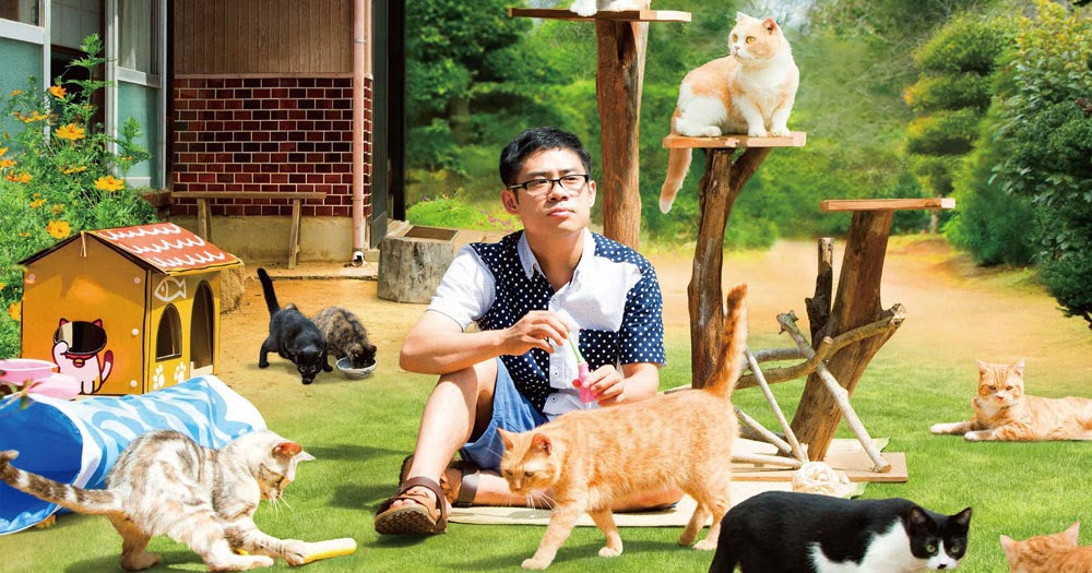 породы кошек дворняжек. полосатый кот беспородный.