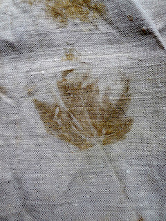 Bidulafil ecodye Bidulafil ecodye
