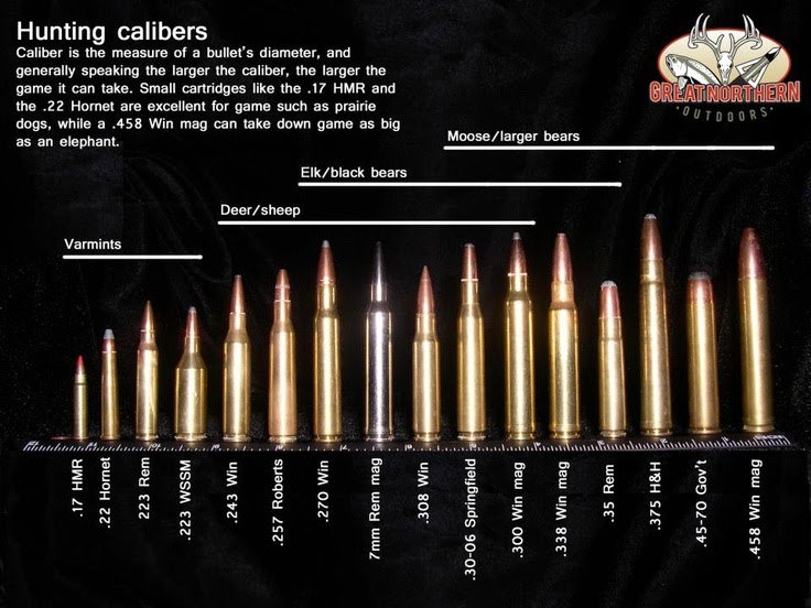 Hunting Rifle Caliber Chart