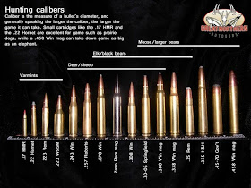 Hunting Rifle Caliber Chart