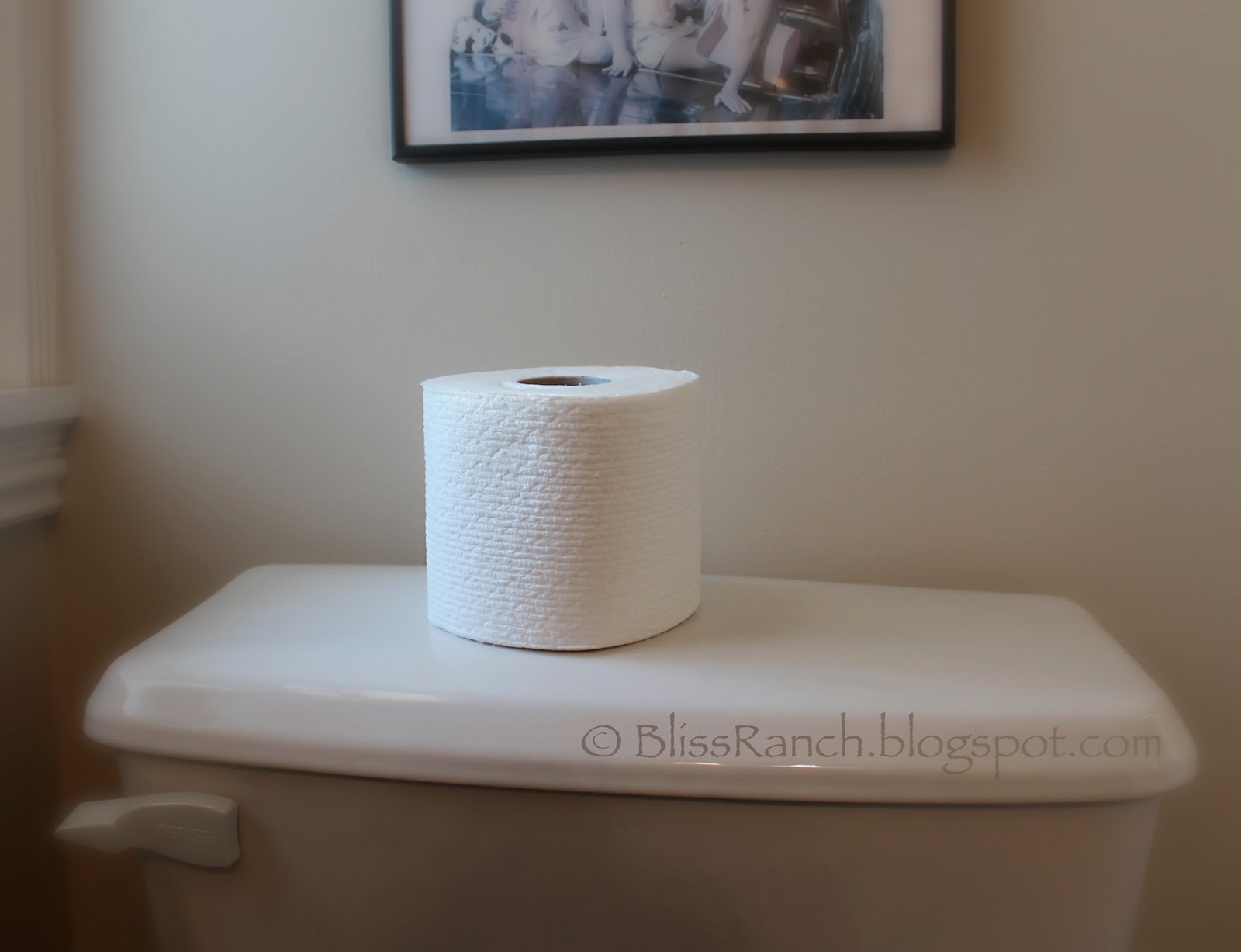 Bliss Ranch What's on your toilet?