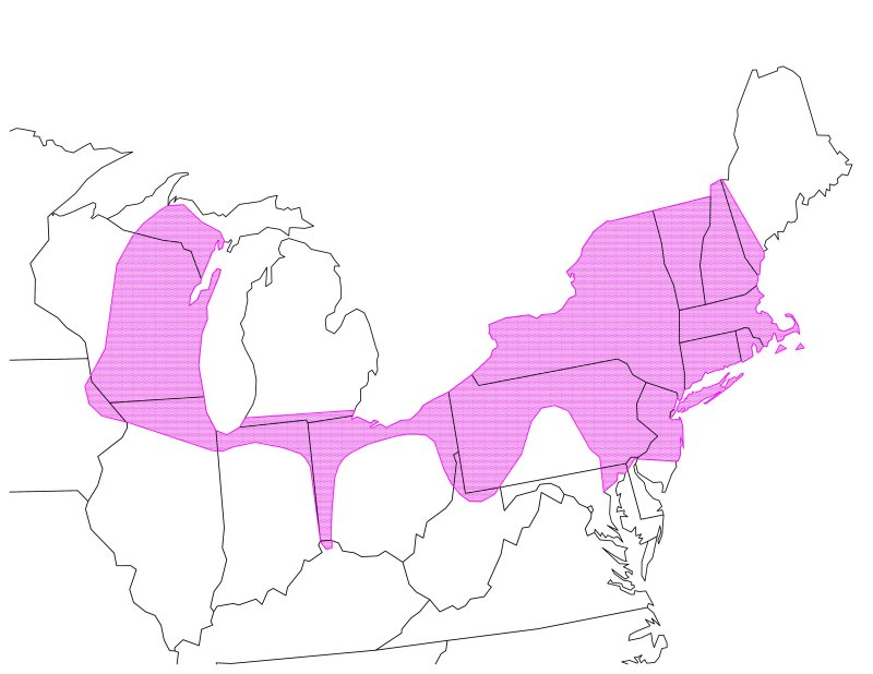 Belt Zara Images Bible Belt Usa