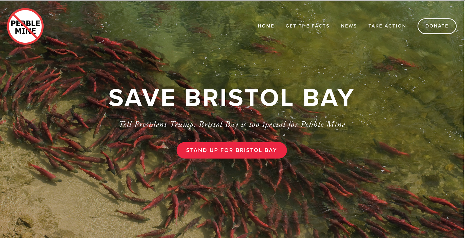 what next Save Bristol Bay Tell EPA that Bristol Bay is too special for Pebble Mine!