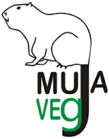 http://www.mujaveg.it/