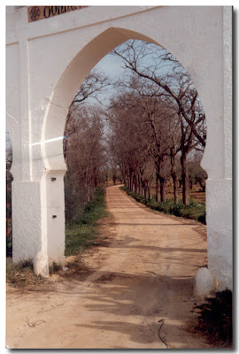 Hacienda Torre Doña María