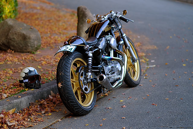 Harley Davidson XL883 By Hirock Kyoto Hell Kustom