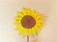 Cara Buat Gambar Bunga Matahari