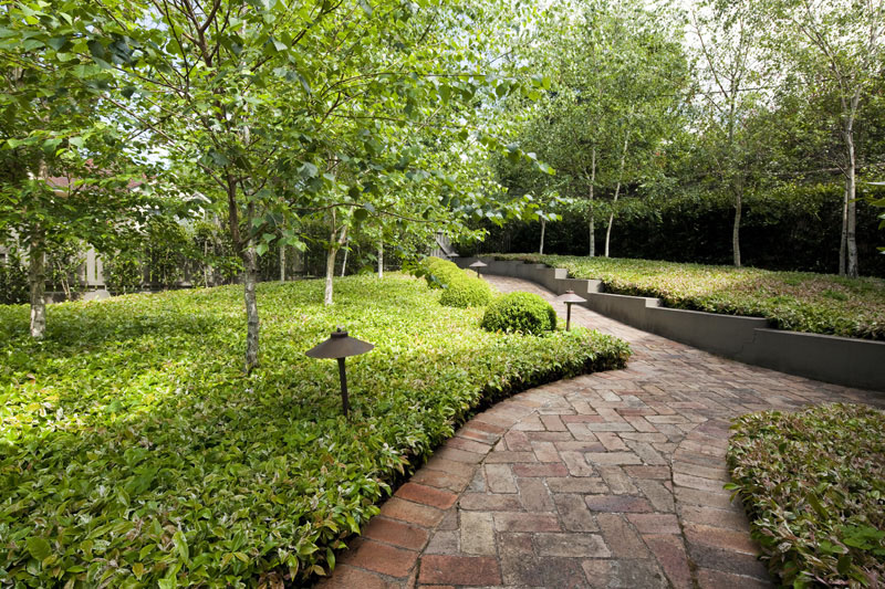 a curious gardener garden designer Peter Fudge