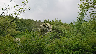 DSC_2514.JPG