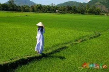 Gửi lại đồng bằng vệt nắng ngày xưa Gửi lại đồng bằng vệt nắng ngày xưa