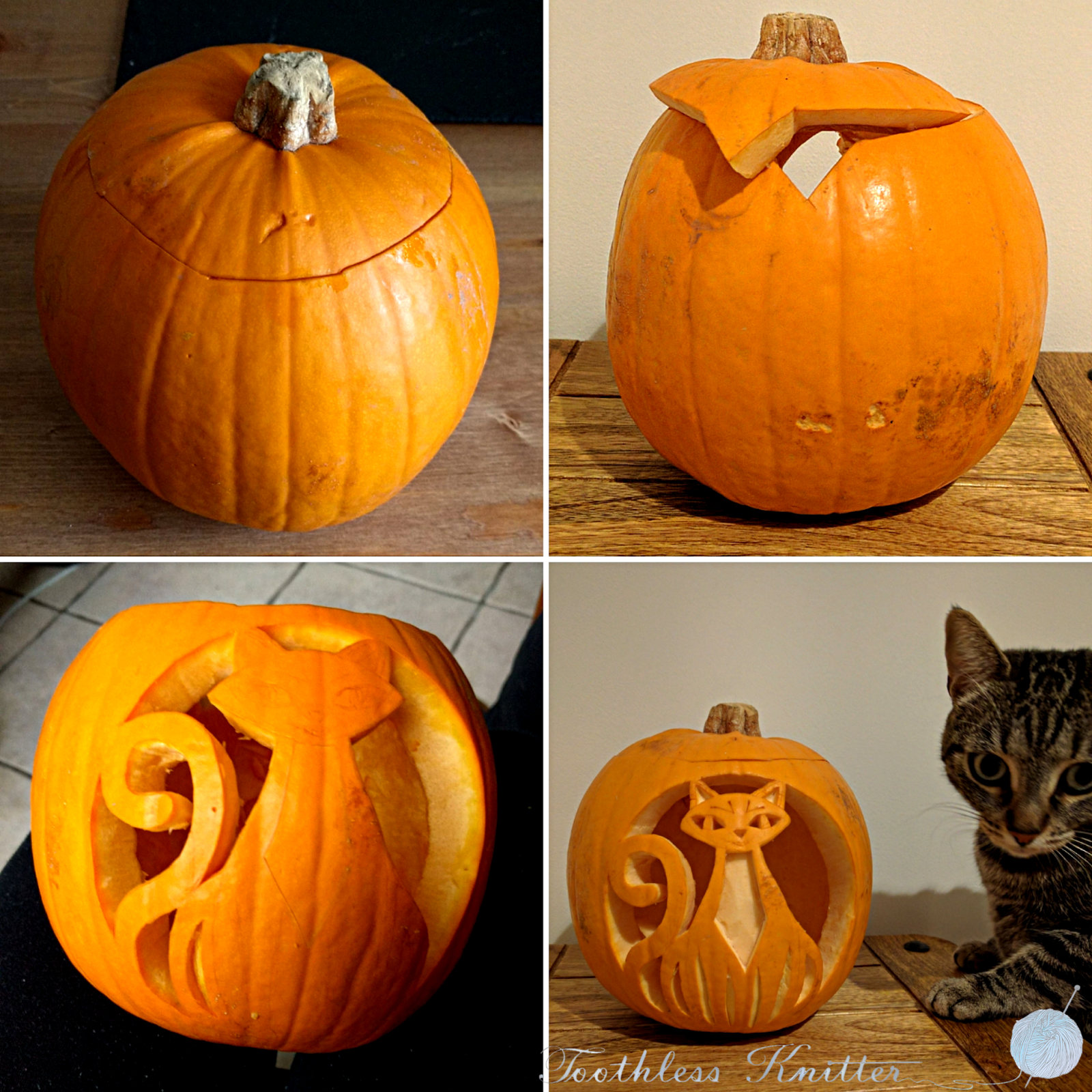 Easy Cat Pumpkin Stencil