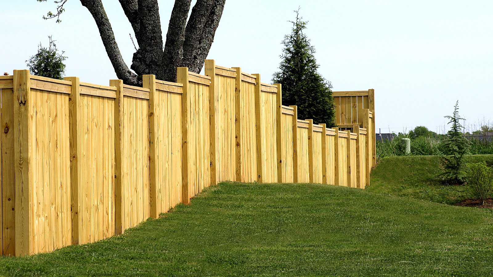 Best Wood Fence Material Fence Choices