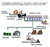 Usinas de triagem e compostagem - Produção de Adubo Orgânico