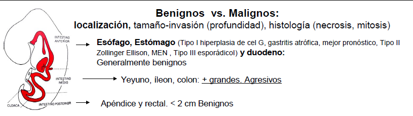 gastritis cronica no atrofica moderada sin actividad gastritis cronica no atrofica moderada sin actividad
