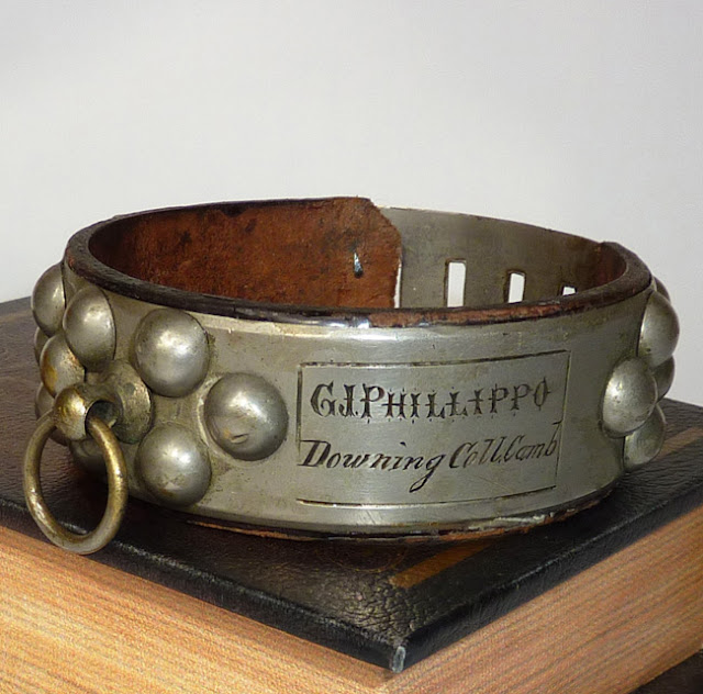 how to clean leather dog collar how to clean leather dog collar