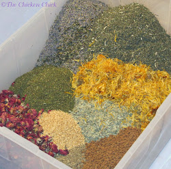 chicken herbs coop herbal chickens boxes nest spruce box fusion chick nesting pest coops dried control dry laying around hen