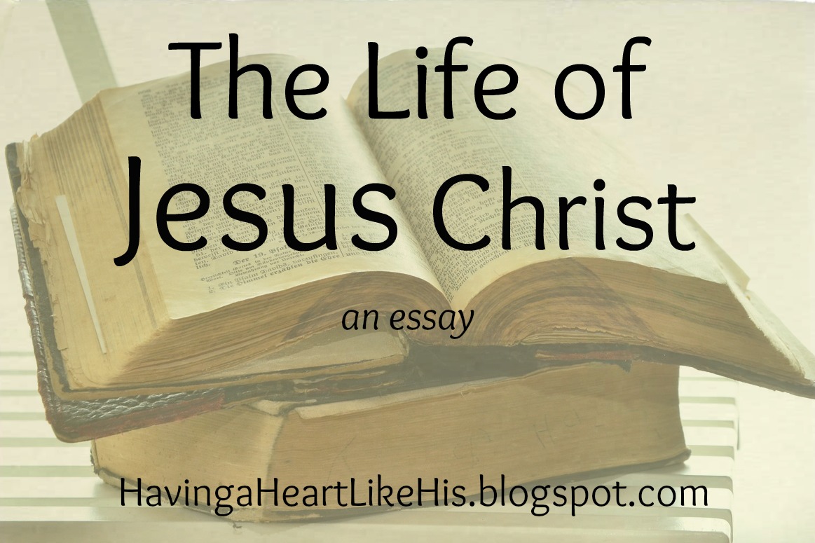 the life of jesus christ essay Geza vermes’ approach to the story of jesus christ in his the passion: the true story of an event that changed human history primarily incorporates a historical method to uncover the details of the last day of christ’s life. the life of jesus christ essay Geza vermes’ approach to the story of jesus christ in his the passion: the true story of an event that changed human history primarily incorporates a historical method to uncover the details of the last day of christ’s life.