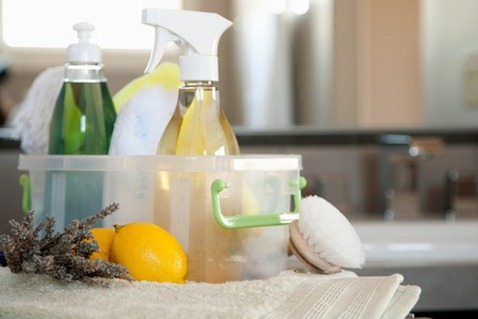 Cleaning Product Manufacturing Business