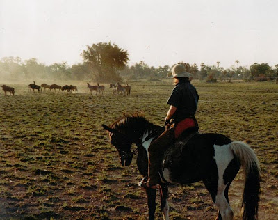 Author Sophie Neville riding with zebra and wildebeeste in the Okavango Delta Botswana