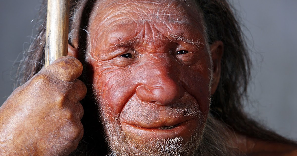 Rosa Rubicondior: Getting To Know Your Inner Neanderthal