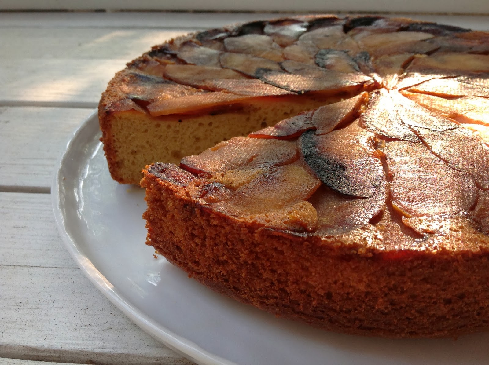 Two Layer Upside Down Blueberry Orange Cake Recipes Two Layer Upside Down Blueberry Orange Cake Recipes
