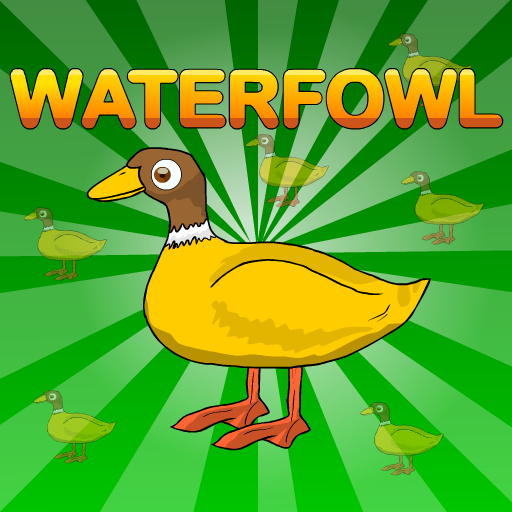 Waterfowl Rescue Walkthrough - Escape Games - New Escape Games Every Day