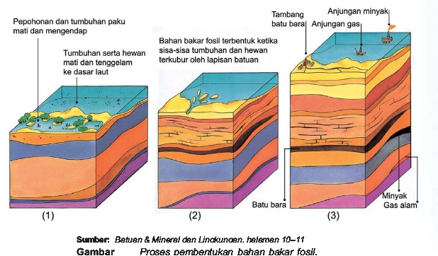Batubara ~ NeededThing
