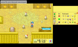 harvest moon ds game nds chicken coop witch princess android story