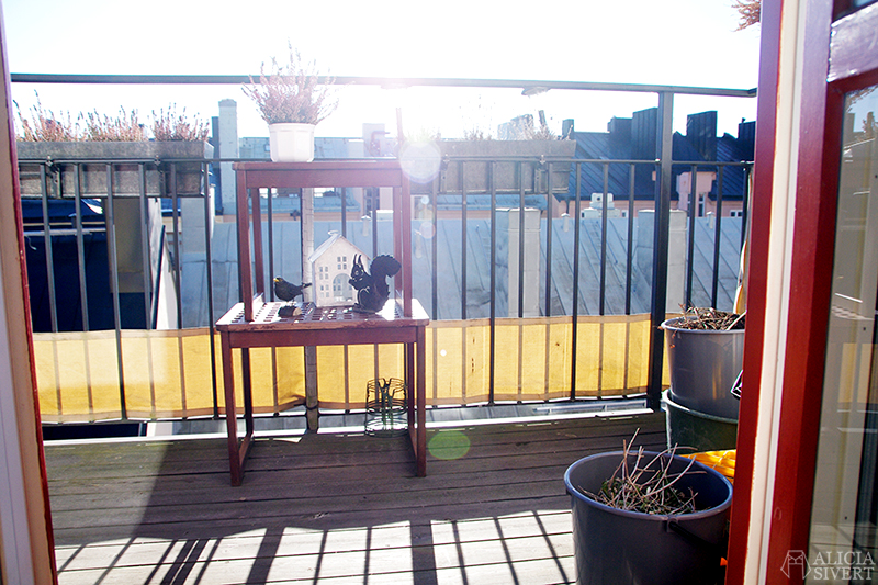 Balcony in Stockholm, photo by Alicia Sivertsson. aliciasivert odla på balkong balkongodling odling morötter potatis tomat paprika chili rödbetor majrovor söderläge stockholm kruka krukor redskap trädgård balkongträdgård inspiration växter växt växtgäris